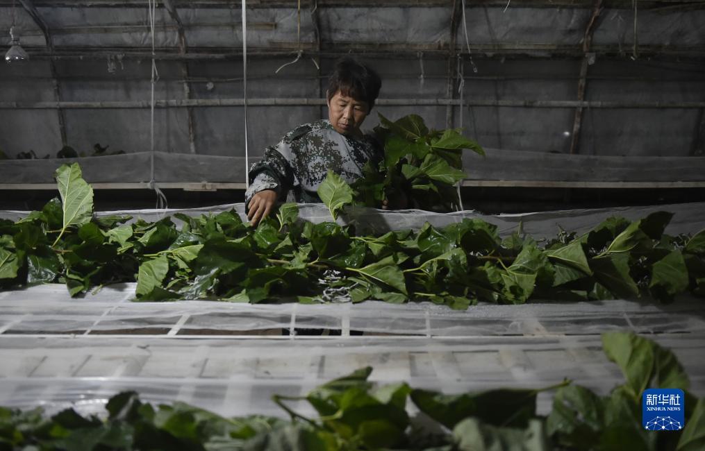 注册免费送体验金白菜网